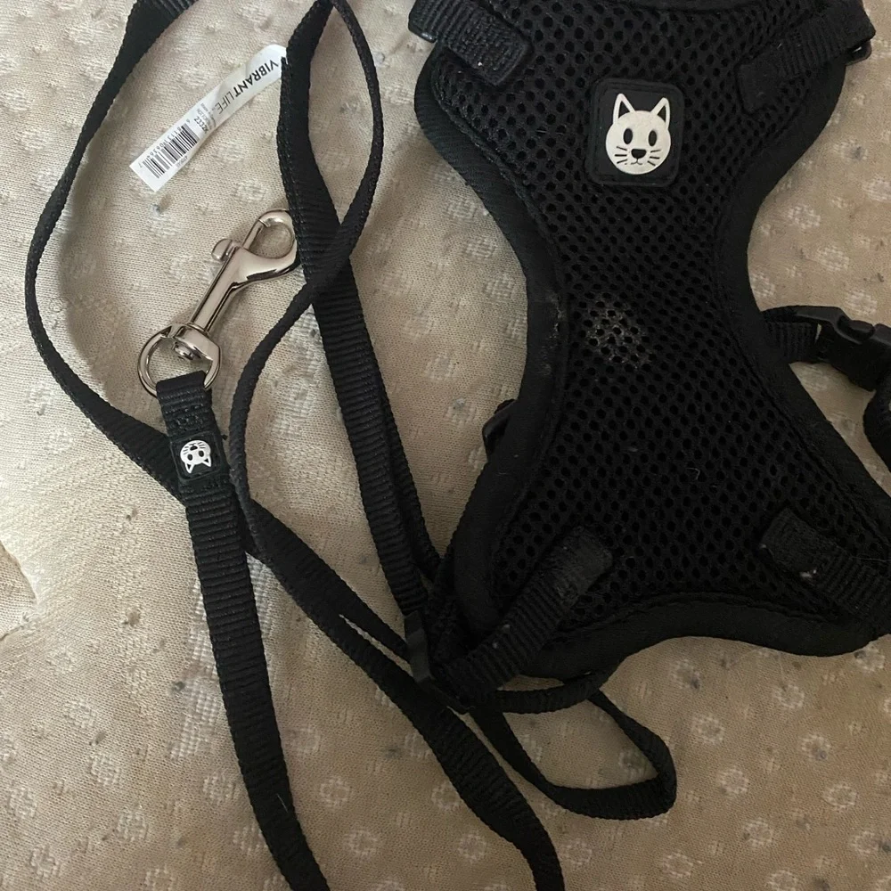 Cat Harness and Leash